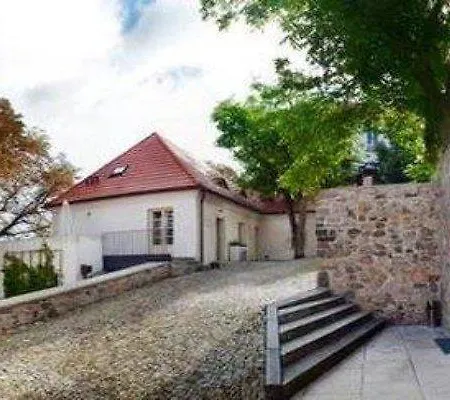 Bellevue 贝内绍夫