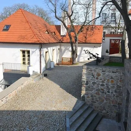 Bellevue 贝内绍夫