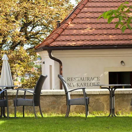 Bellevue 酒店 贝内绍夫