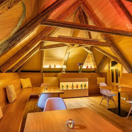 Bellevue 贝内绍夫