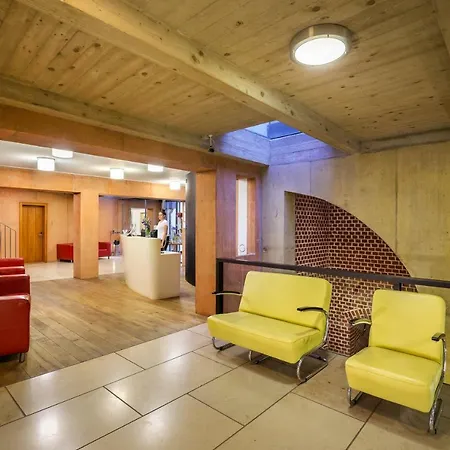 Bellevue 酒店 贝内绍夫